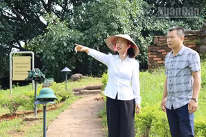 Giám đốc Bảo tàng Điện Biên Phủ Vũ Thị Tuyết Nga kiểm tra việc tu sửa, chỉnh trang cây xanh, vườn hoa tại các điểm di tích thuộc quần thể di tích chiến trường Điện Biên Phủ. (Ảnh: Lê Lan)