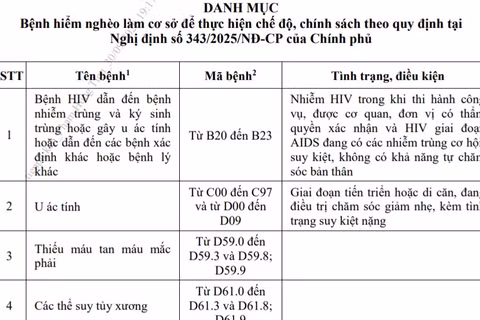 Danh mục bệnh hiểm nghèo thực hiện chế độ, chính sách với sĩ quan Quân đội nghỉ hưu. (Ảnh chụp màn hình)