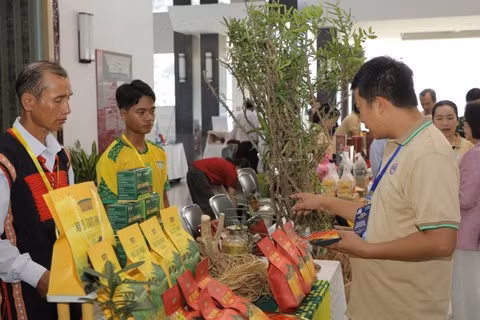 Đại biểu tham quan các sản phẩm xanh trưng bày tại cuộc thi (Ảnh: BSA)