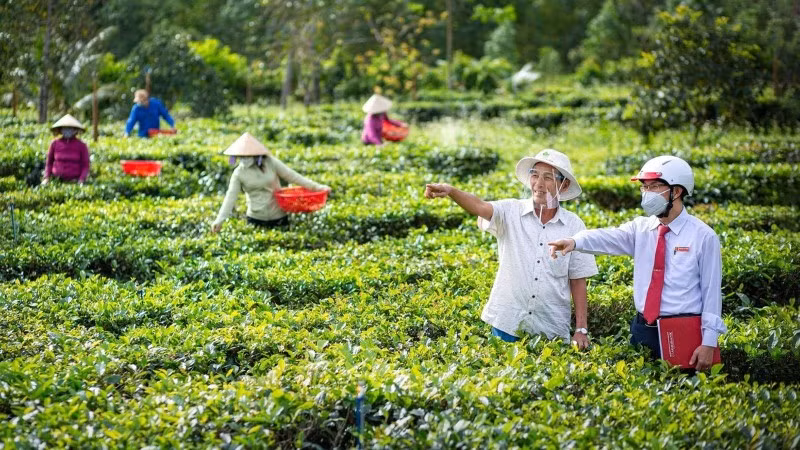 Vai trò của tín dụng xanh trong nông nghiệp.