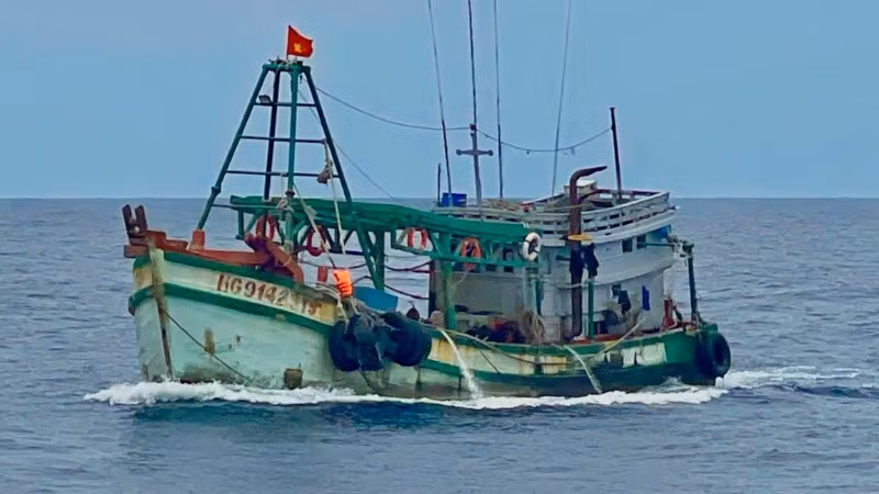 Tàu cá có ngư dân bị thương do rắn biển cắn.