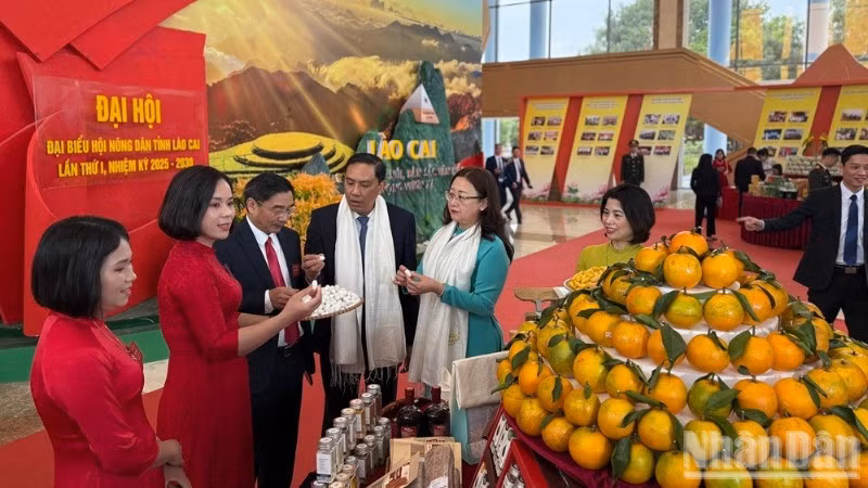 Các đại biểu tham quan gian hàng của nông dân tại Đại hội. (Ảnh: THANH SƠN)