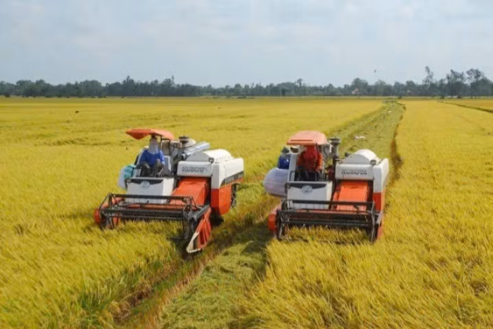 Cơ giới hoá đồng bộ trong sản xuất lúa tại huyện Yên Khánh. (Ảnh: Yến Trinh)