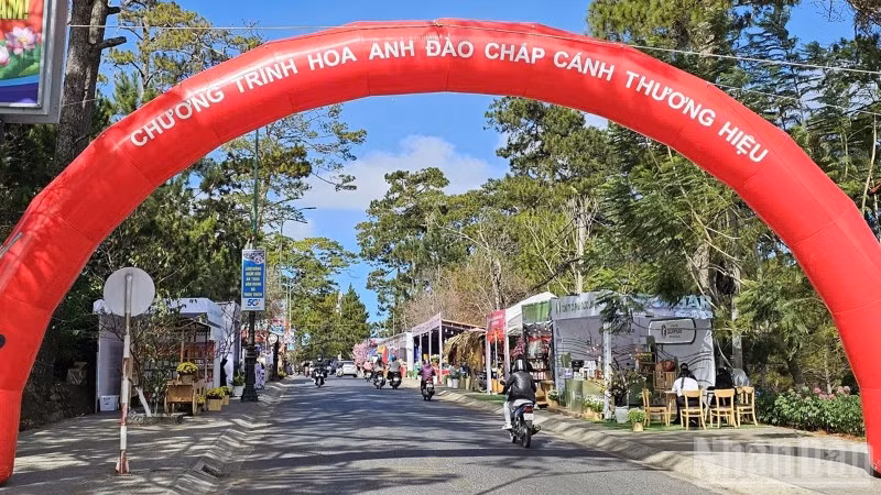 Không gian tổ chức chương trình “Hoa mai anh đào chắp cánh thương hiệu Đà Lạt”.