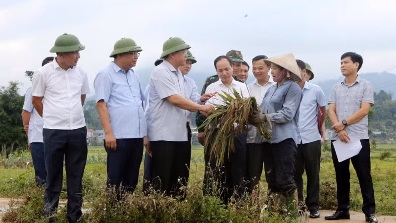 Chủ tịch Ủy ban nhân dân tỉnh Trần Duy Đông và đoàn công tác kiểm tra công tác ứng phó bão số 10 tại xã Xuân Đài.