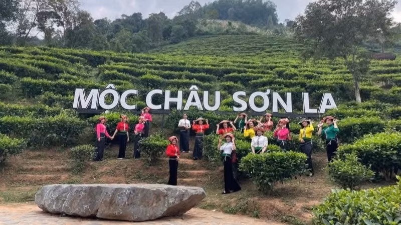 Trong dịp nghỉ lễ 30/4-1/5 năm 2026, các hoạt động du lịch tại khu du lịch Quốc gia Mộc Châu được tổ chức sôi động, đa dạng.