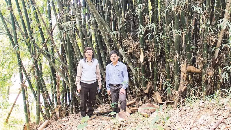 Cán bộ Viện Hàn lâm Khoa học và Công nghệ Việt Nam trong một chuyến nghiên cứu, tìm hiểu về các loại tre trúc tại khu vực Tây Nguyên. (Ảnh DUY MINH)