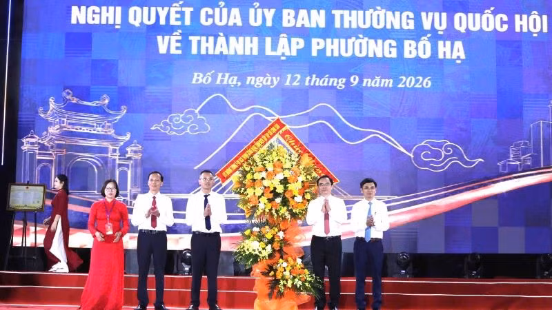 bo-ha-tang-hoa.jpg