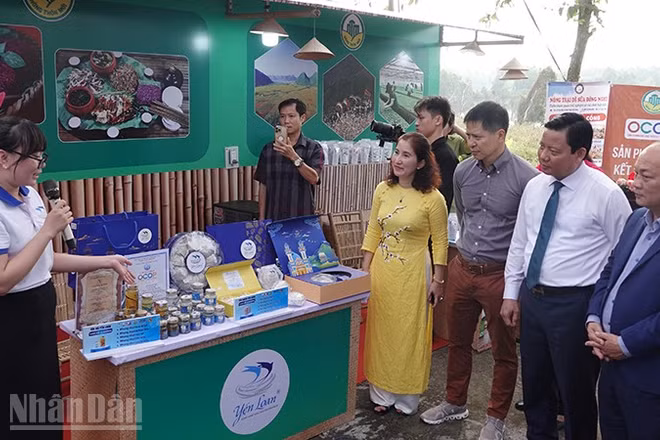 Các đại biểu tham quan các sản phẩm OCOP tại diễn đàn. (Ảnh: LINH BẢO)