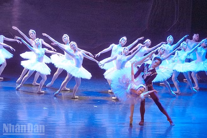Lần đầu tiên Nhà hát Giao hưởng, Nhạc, Vũ kịch Thành phố Hồ Chí Minh dựng vở ballet Hồ Thiên Nga. (Ảnh: LINH BẢO)