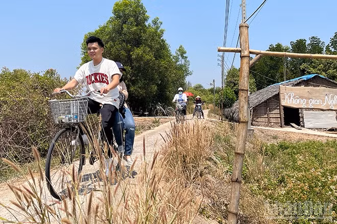 Du khách đi xe đạp khám phá Thiềng Liềng, xã Thạnh An. (Ảnh: LINH BẢO).