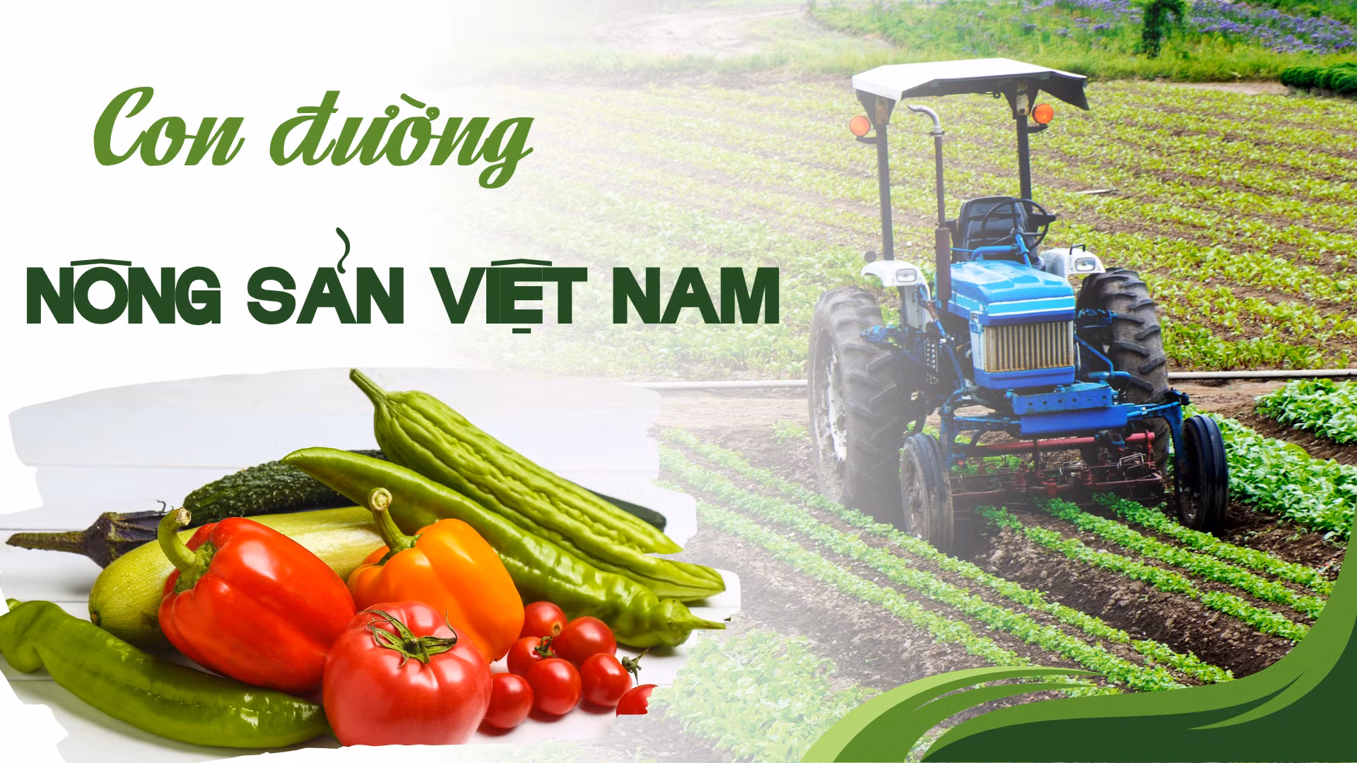 Con đường nông sản Việt Nam