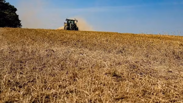 Thêm một vụ mùa thất bát đối với ngành nông nghiệp châu Âu.