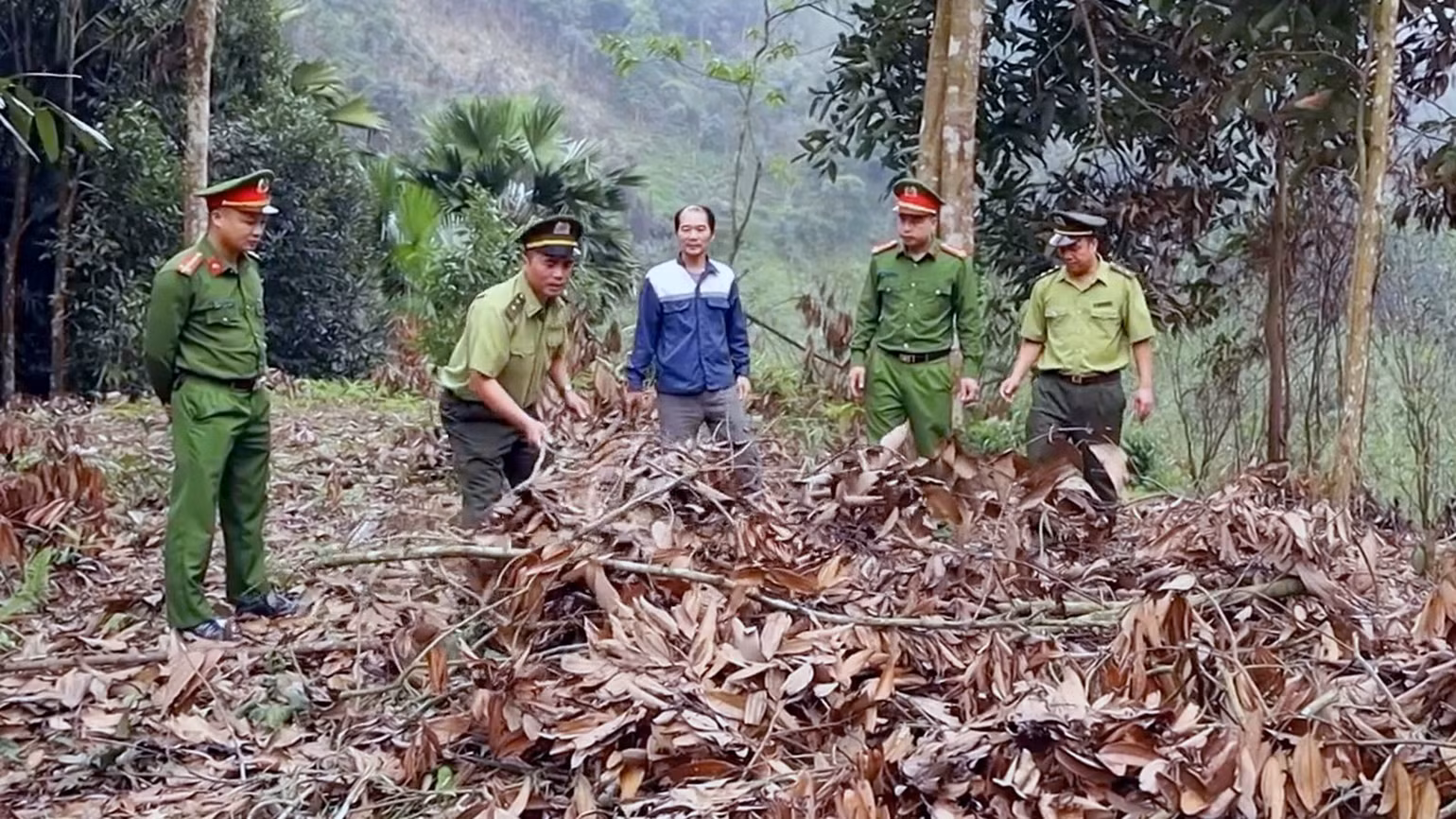 bv-rung-1mp4still005.jpg