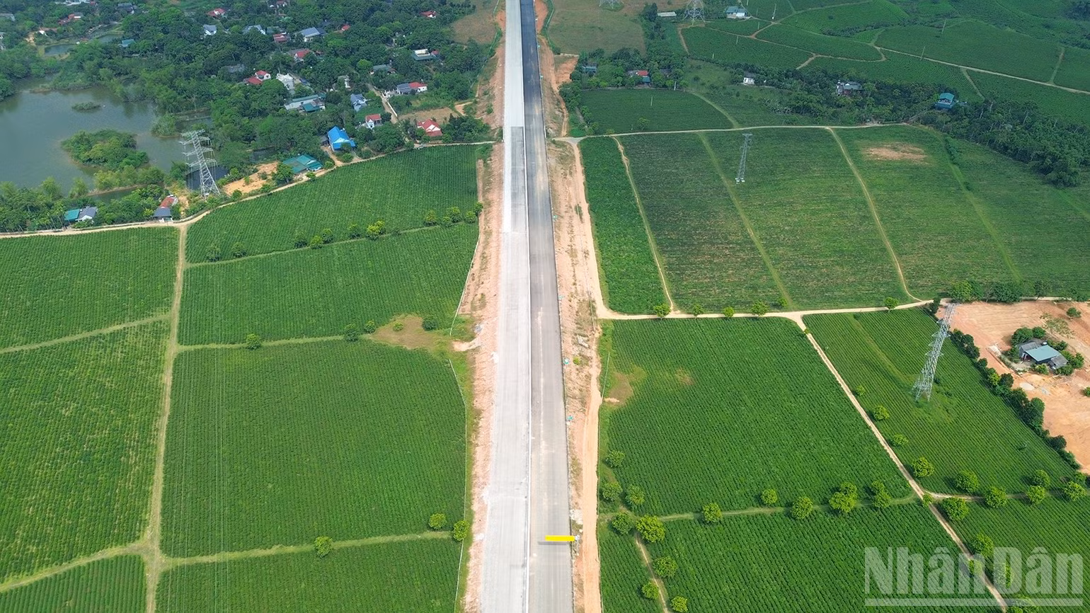 ndo_br_anh-9.jpg