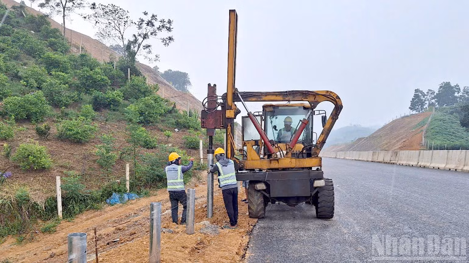 ndo_br_anh-4.jpg