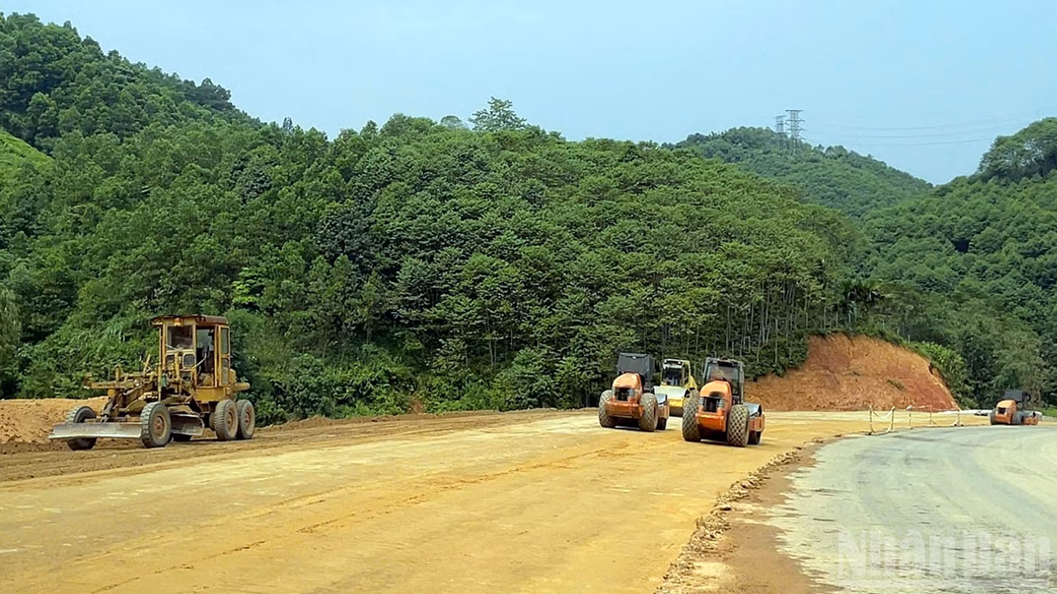 ndo_br_anh-6.jpg