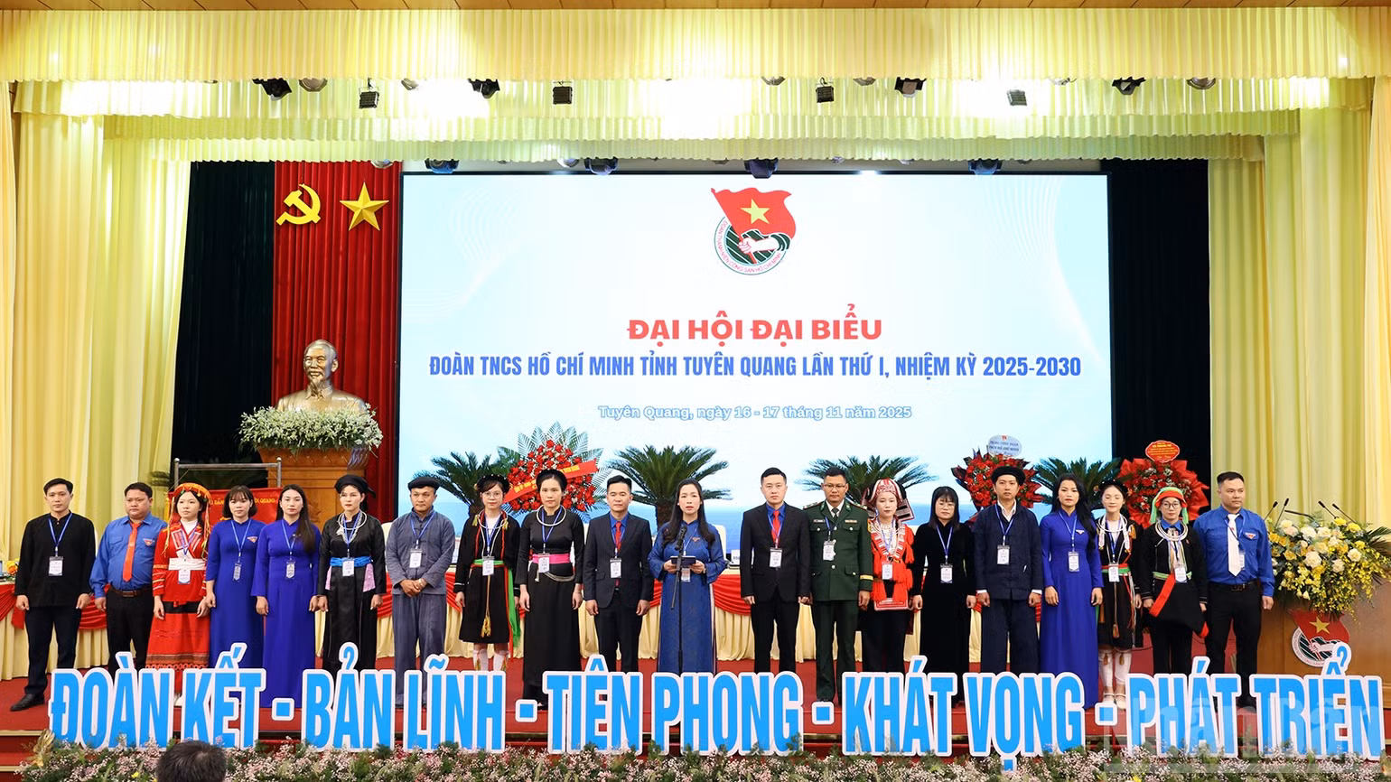 ndo_br_anh-11.jpg