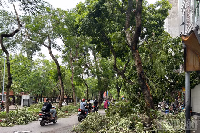 (Ảnh minh họa: THÙY LINH)