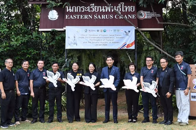 Lễ bàn giao 6 cá thể sếu đầu đỏ tại Vườn thú Nakhon Ratchasima. (Ảnh: XUÂN SƠN)