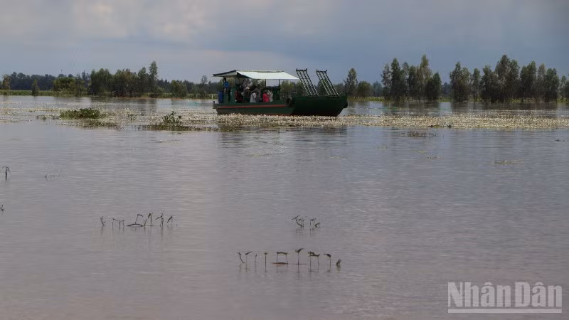 ndo_br_a5-1741.jpg