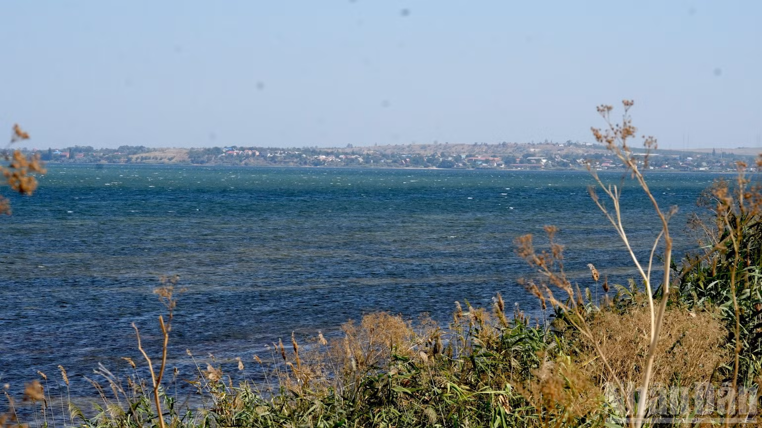 ndo_br_dsc04717-1287.jpg