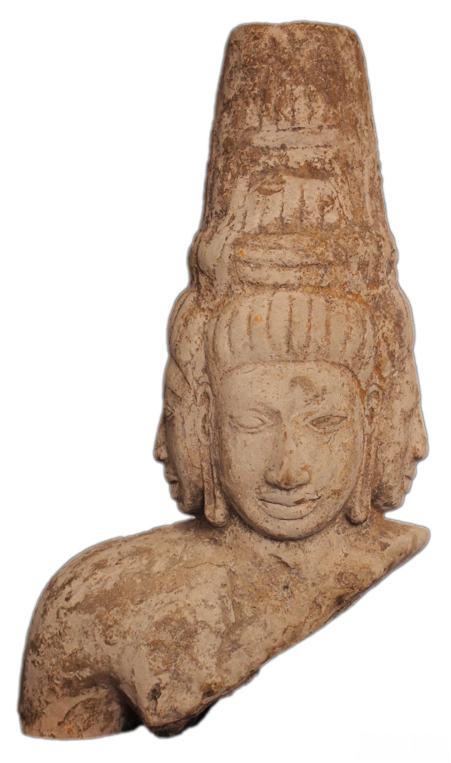 ndo_br_2018-tuong-brahma-giong-xoai.png