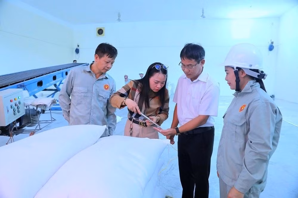 Cục Dự trữ Nhà nước (Bộ Tài chính) vừa ban hành Quyết định số 391/QĐ-CDT ngày 28/8/2026 phê duyệt Kế hoạch bán đấu giá gạo dự trữ quốc gia thuộc chỉ tiêu kế hoạch xuất năm 2026.