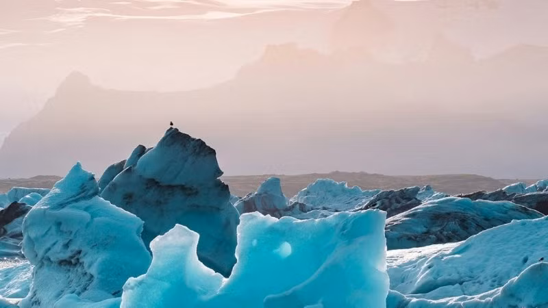 Ảnh: UNEP