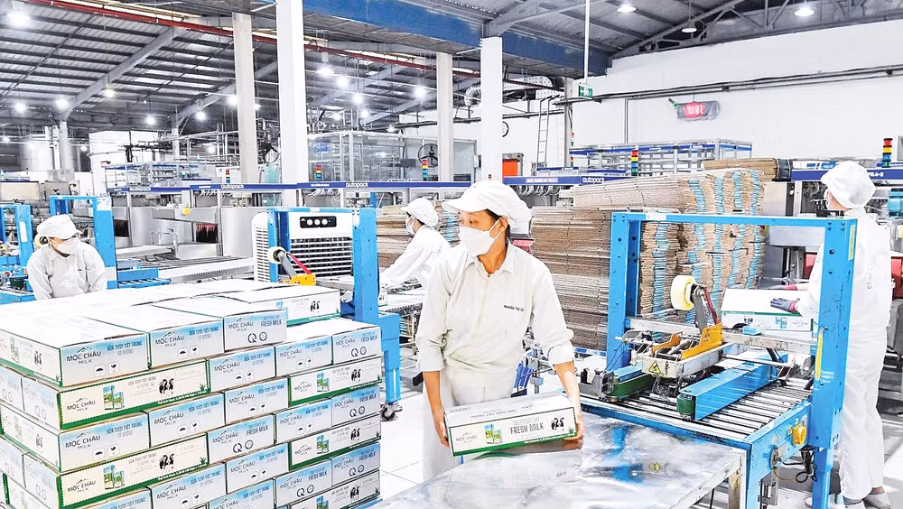 Dây chuyền sản xuất tại Nhà máy chế biến sữa Mộc Châu. Ảnh: La Sơn