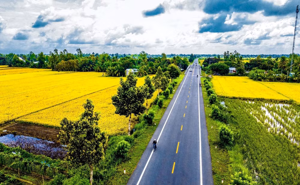 Bảy mô hình Đề án 1 triệu ha lúa tại Đồng bằng sông Cửu Long ghi nhận năng suất đều tăng, nâng cao thu nhập cho nông dân từ 4-7,6 triệu đồng/ha. (Ảnh Lê Phương)