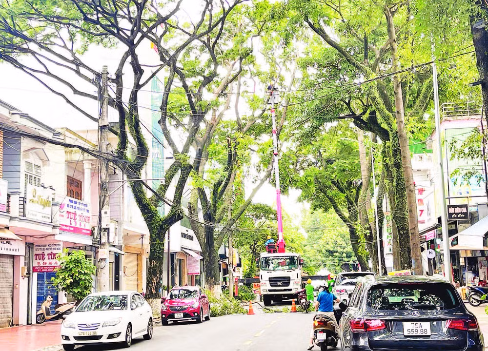 Công nhân Công ty cổ phần Đô thị và Môi trường Đắk Lắk tổ chức cắt tỉa tán cây xanh trên đường Lý Thường Kiệt, thành phố Buôn Ma Thuột bảo đảm an toàn trong mùa mưa năm 2025.