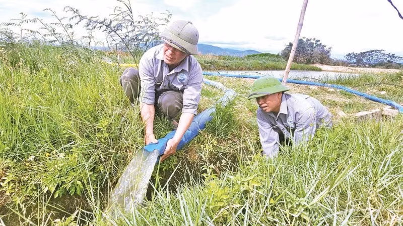 Công nhân Chi nhánh thủy nông Bố Trạch lắp hệ thống máy bơm dã chiến đưa nước về tưới cho đồng ruộng Bắc Trạch.