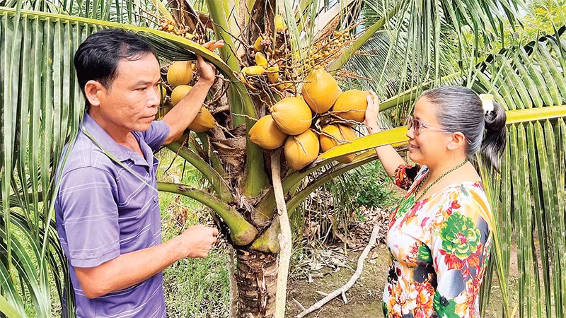 Gia đình bà Nguyễn Thị Ngọc Huệ được hỗ trợ vay vốn để phát triển kinh tế, vươn lên thoát nghèo.