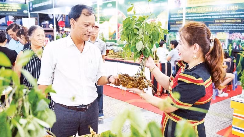 Khách tham quan tìm hiểu sâm Ngọc Linh tại chương trình giới thiệu, quảng bá dược liệu Đà Nẵng.