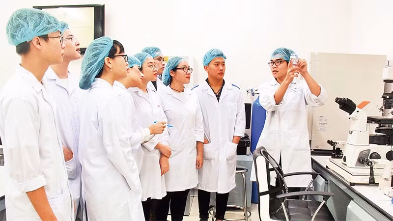Hoạt động nghiên cứu khoa học tại Đại học Quốc gia Thành phố Hồ Chí Minh.