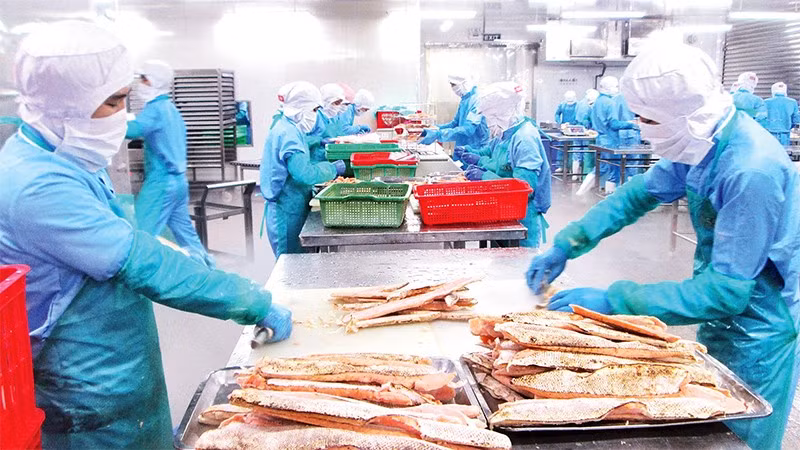 Thủy sản chế biến là mặt hàng xuất khẩu chủ lực đóng góp rất lớn cho tổng kim ngạch xuất khẩu của cả nước.