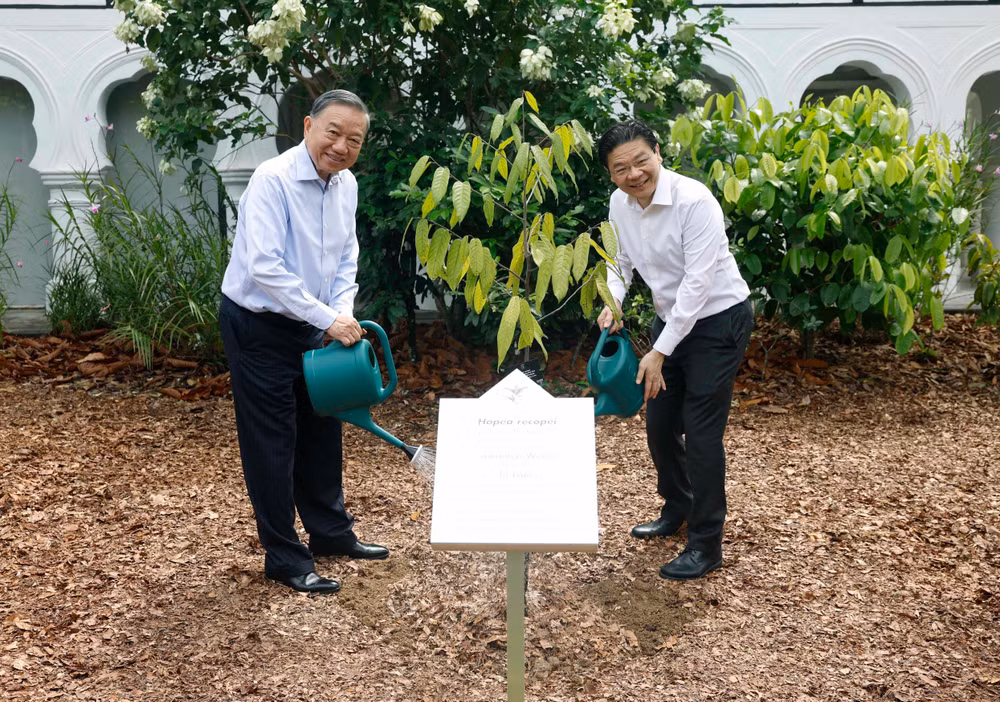 Tổng Bí thư, Chủ tịch nước Tô Lâm và Thủ tướng Singapore Lawrence Wong trồng cây lưu niệm. (Ảnh: TTXVN)