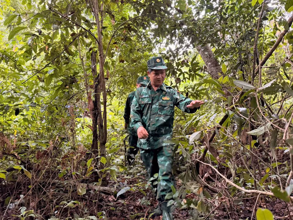 “Rừng che bộ đội, rừng vây quân thù”...