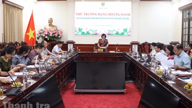 Quang cảnh phiên thẩm định.