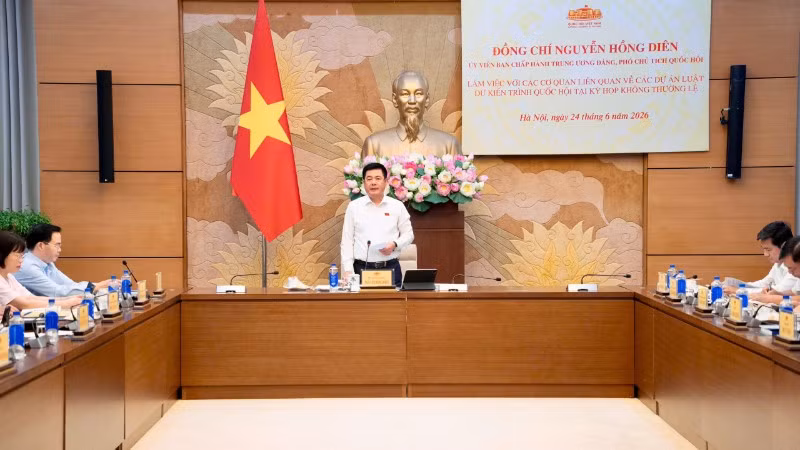 Phó Chủ tịch Quốc hội Nguyễn Hồng Diên chủ trì buổi làm việc.