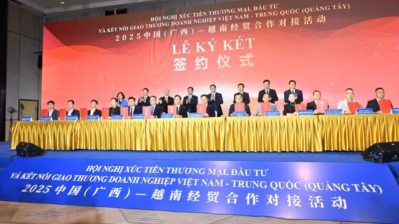 Hội nghị Xúc tiến thương mại, đầu tư và kết nối giao thương doanh nghiệp Việt Nam-Trung Quốc (Quảng Tây).