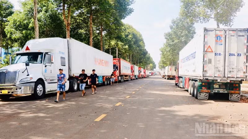 Xe container đỗ tràn vào khu vực trung tâm hành chính phường Dầu Giây.
