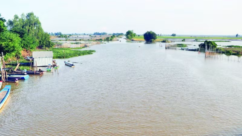 Mùa nước nổi ở vùng đầu nguồn sông Tiền, xã Vĩnh Xương, tỉnh An Giang.