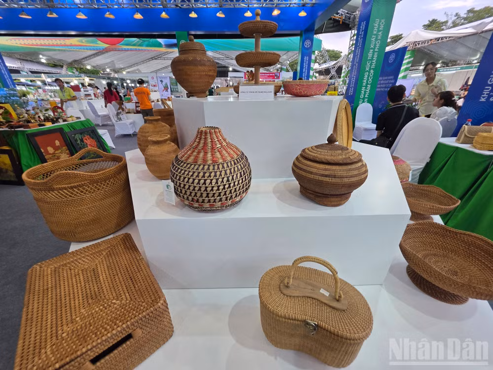 ndo_br_20250801-180641.jpg