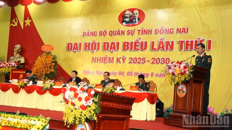 ndo_br_6-resize-6682.jpg