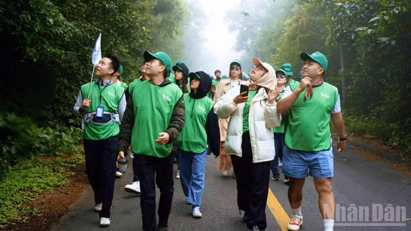 ndo_br_son-tra-green-5841.jpg