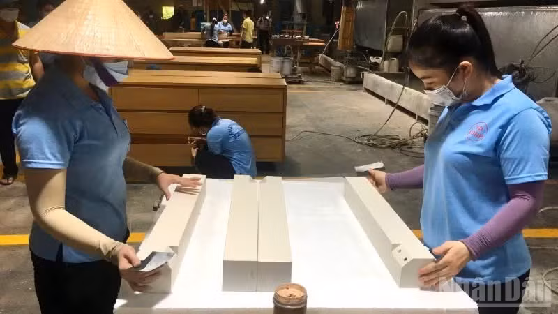 Ngành gỗ Việt Nam tìm dư địa tăng trưởng từ đa dạng hóa thị trường. (Ảnh: VŨ THÀNH)
