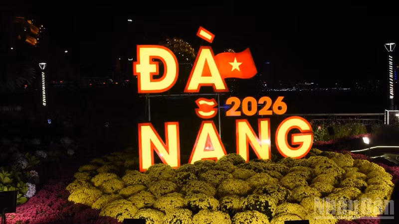 ndo_br_chon-7096.jpg