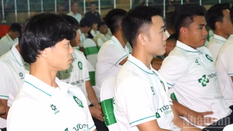 ndo_br_3-resize-6110.jpg